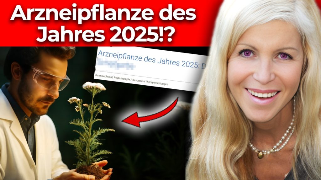 Barbara Simonsohn Thumbnail Schafgarbe